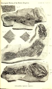 n528_w1150