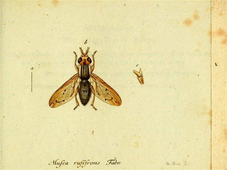 n196_w1150