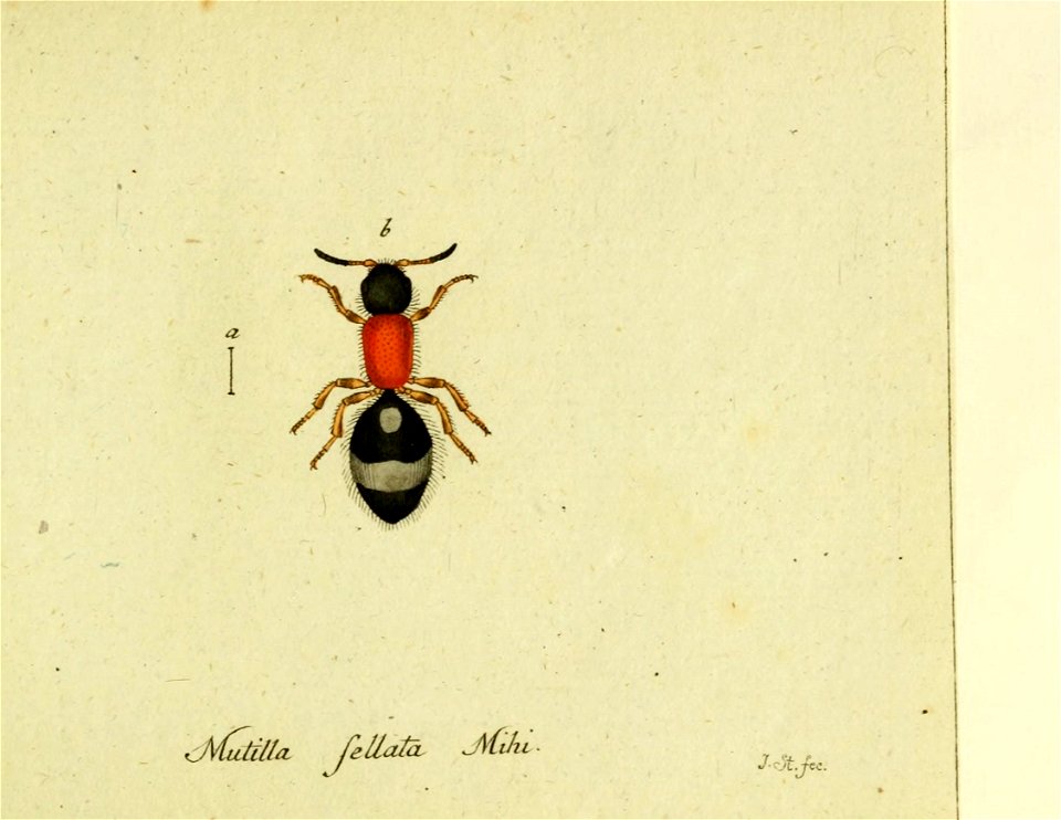 n376_w1150