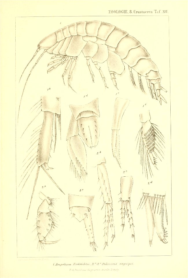 n442_w1150
