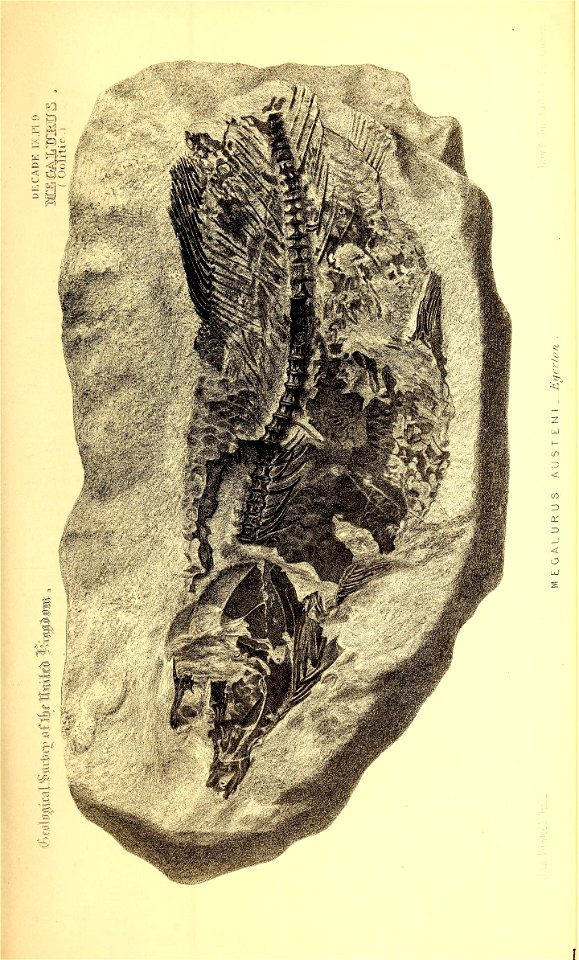 n258_w1150