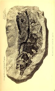 n258_w1150