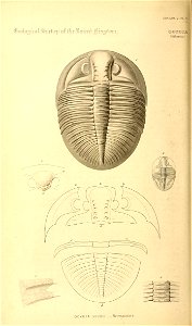 n115_w1150