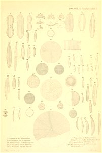 n524_w1150