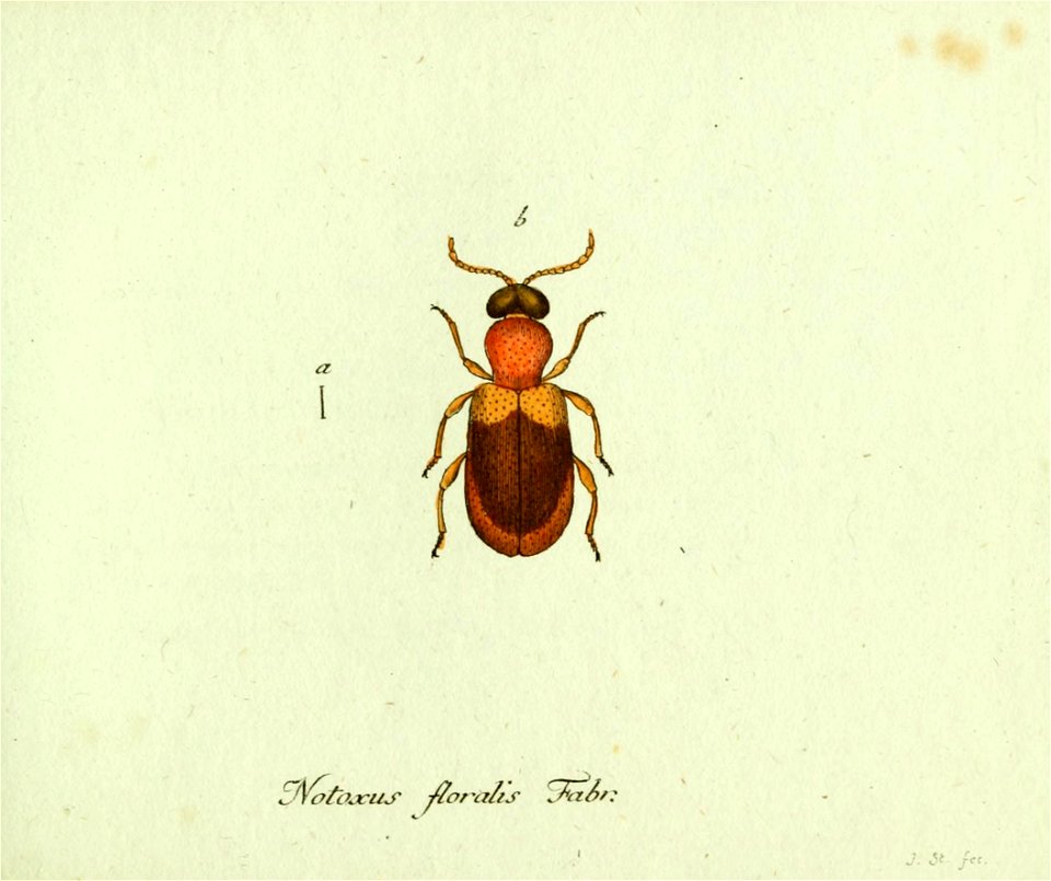 n416_w1150