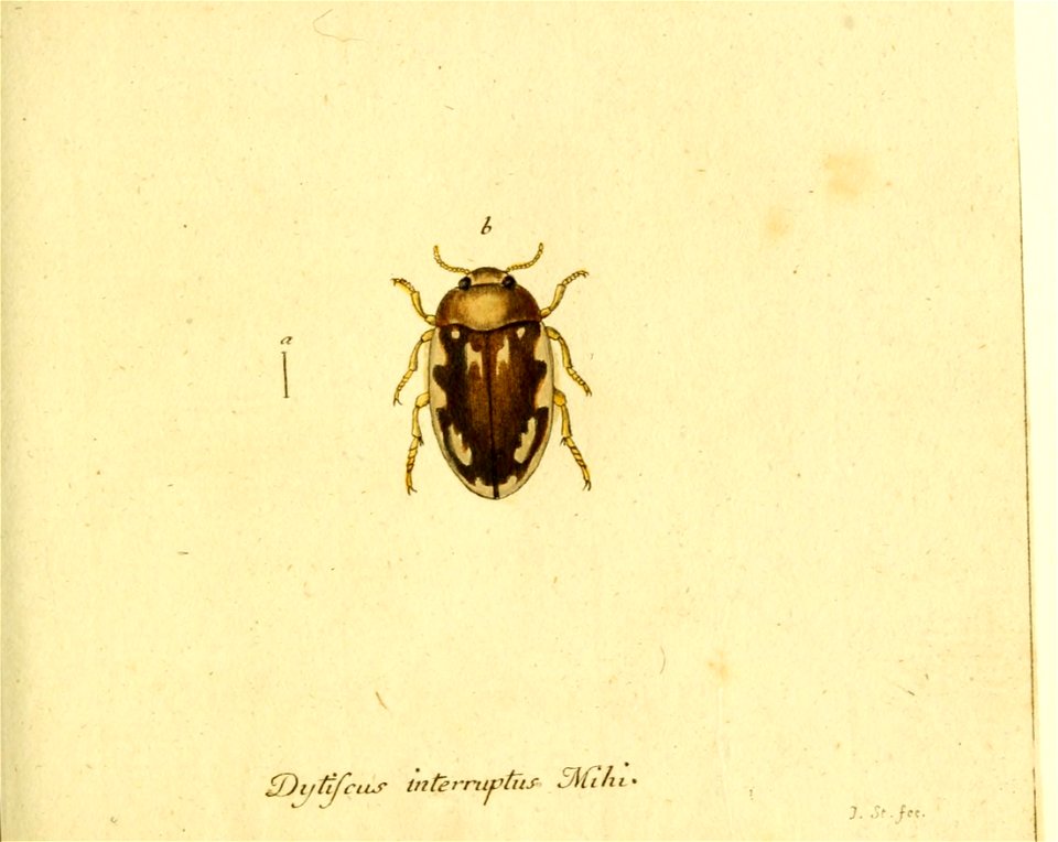 n122_w1150