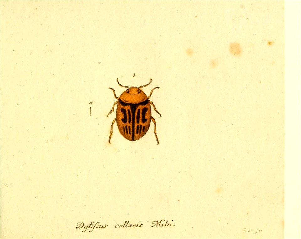 n118_w1150