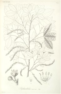 n52_w1150