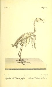 n46_w1150