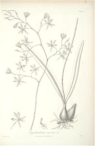 n110_w1150