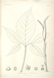 n122_w1150