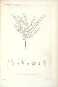 n77_w1150