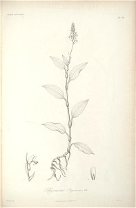 n121_w1150