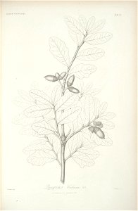 n106_w1150