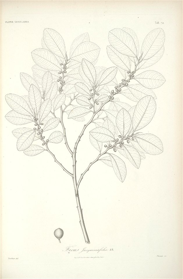 n105_w1150