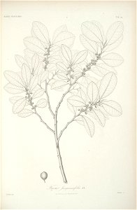 n105_w1150