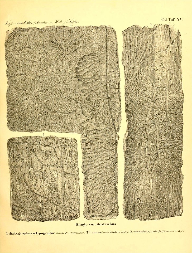 n312_w1150