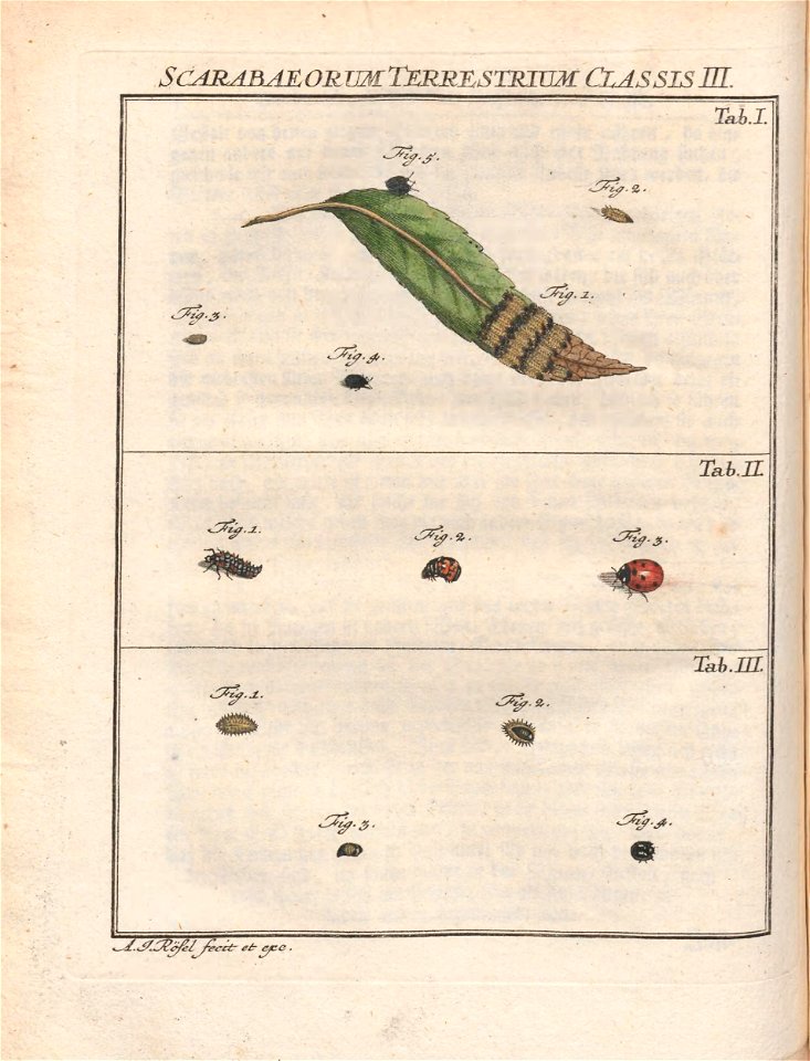 n171_w1150