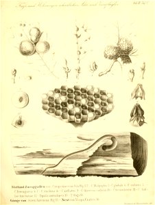 n354_w1150