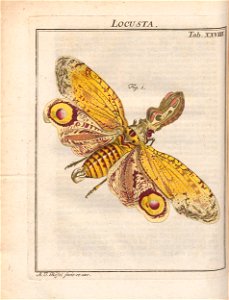 n575_w1150