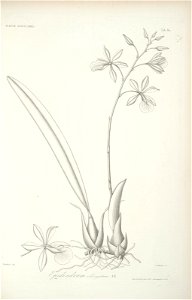 n113_w1150