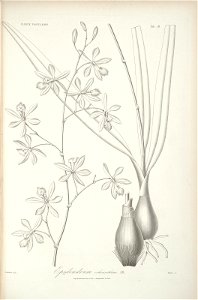 n111_w1150