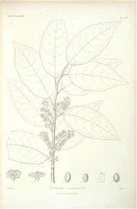 n66_w1150