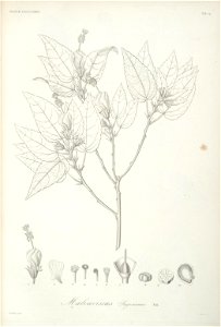 n36_w1150