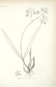 n109_w1150
