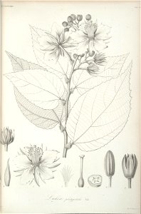 n45_w1150