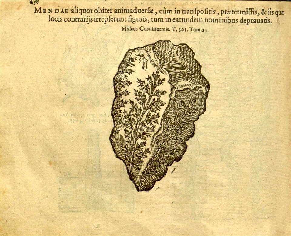 n1080_w1150