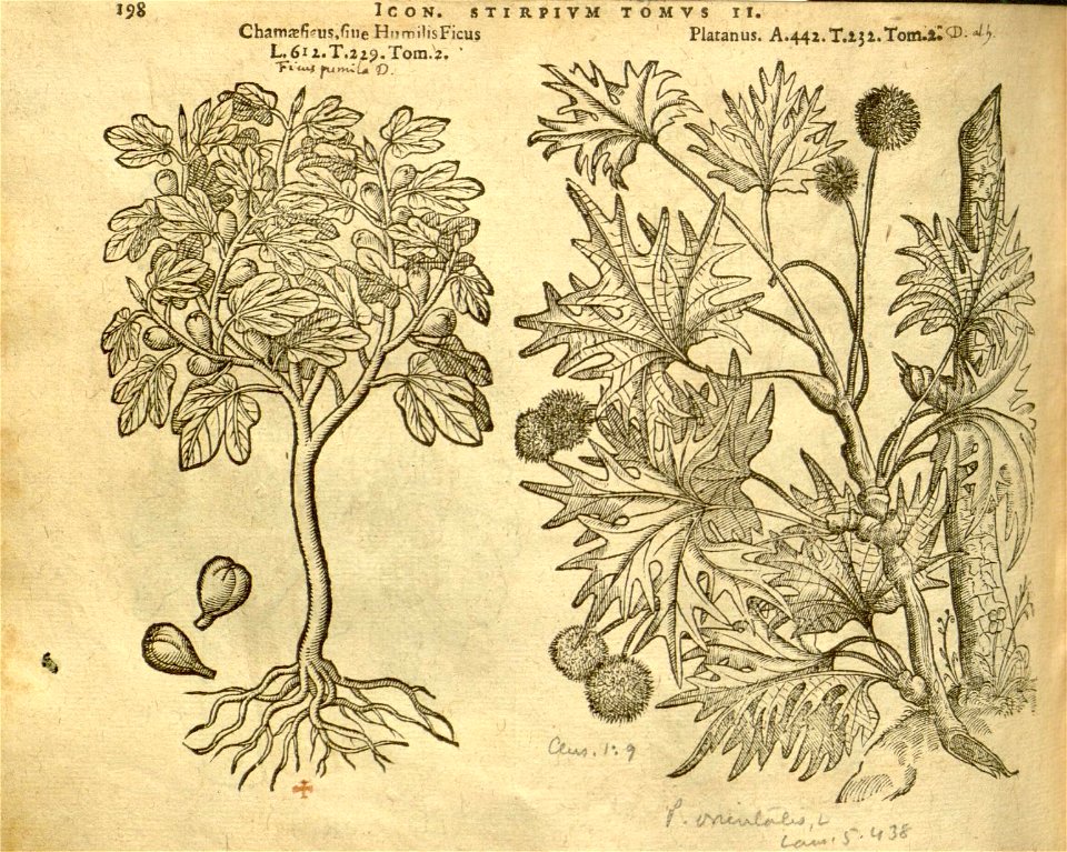 n1020_w1150