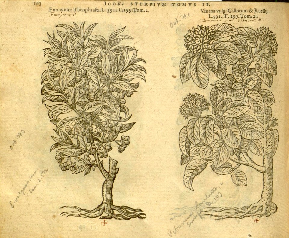 n990_w1150