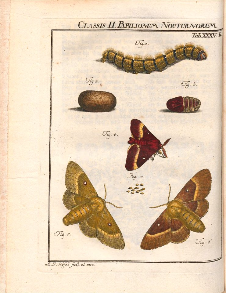 n569_w1150