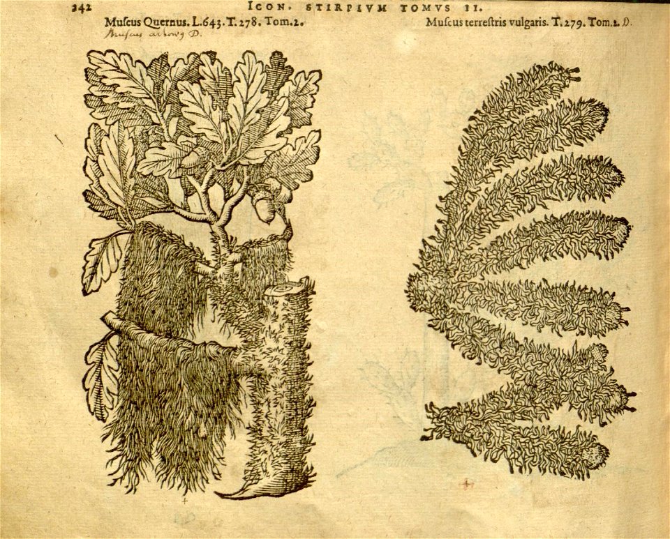 n1064_w1150