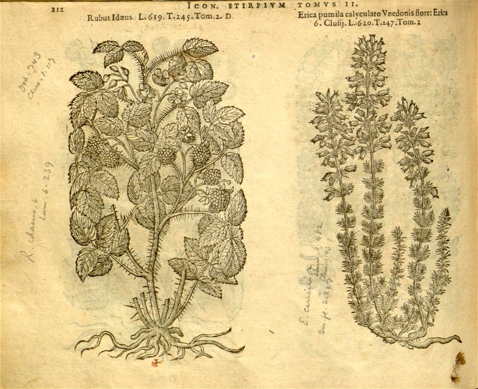 n1034_w1150
