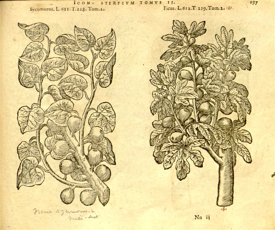 n1019_w1150