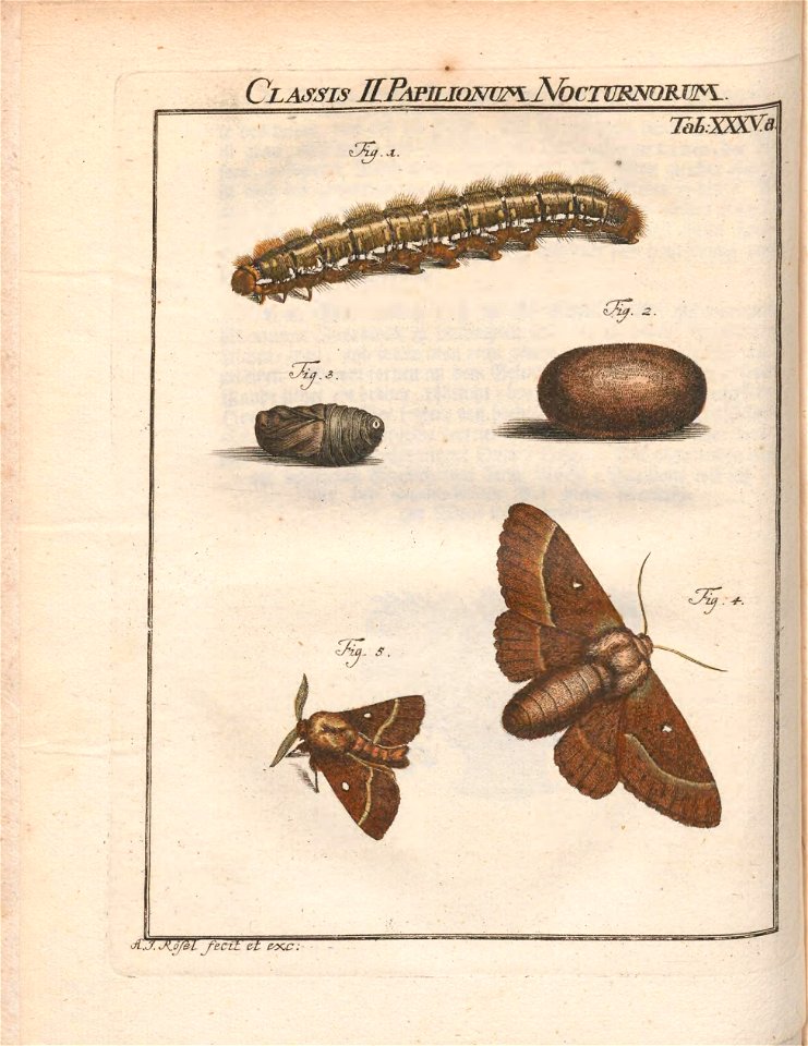n559_w1150
