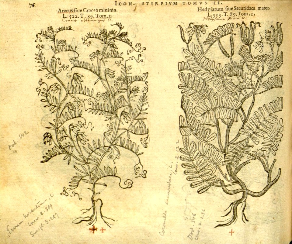n898_w1150