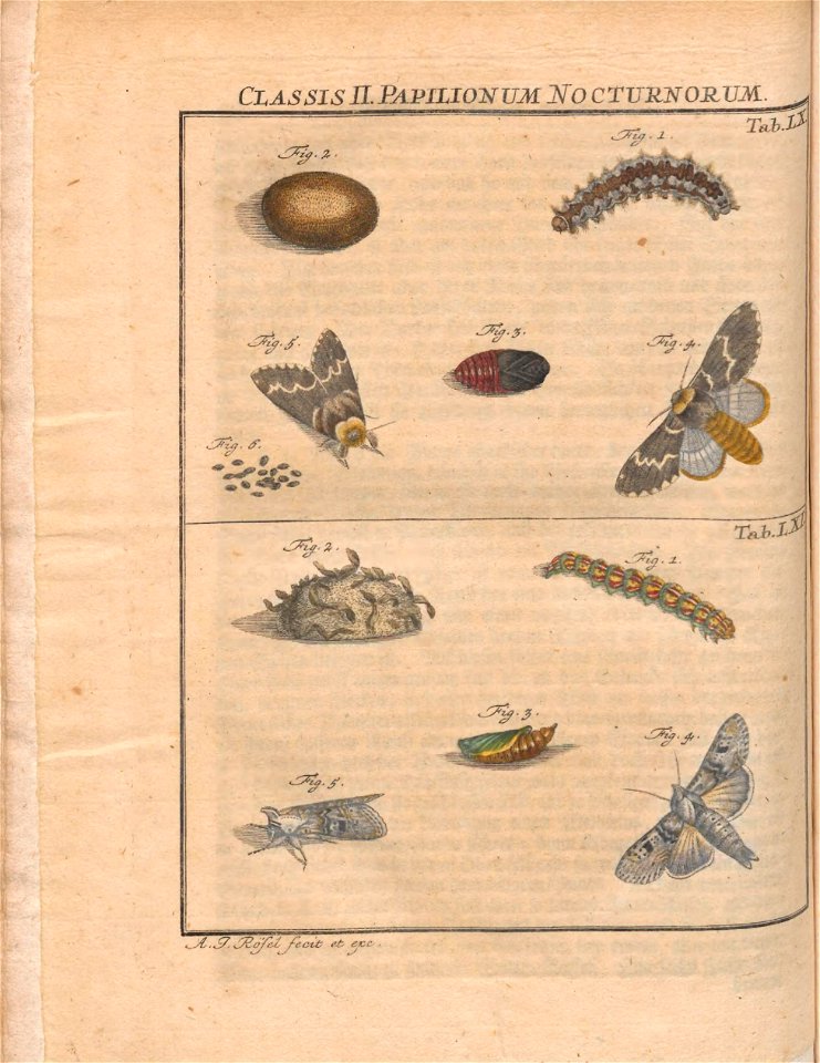 n695_w1150