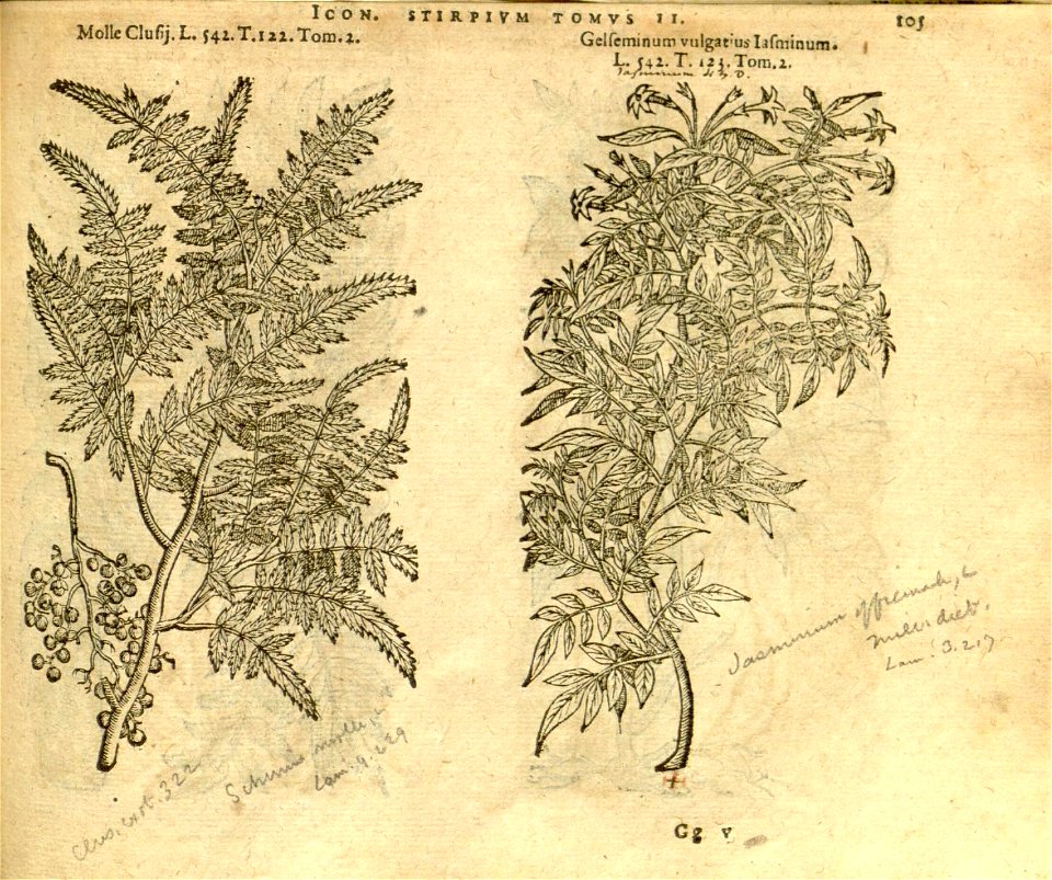 n927_w1150