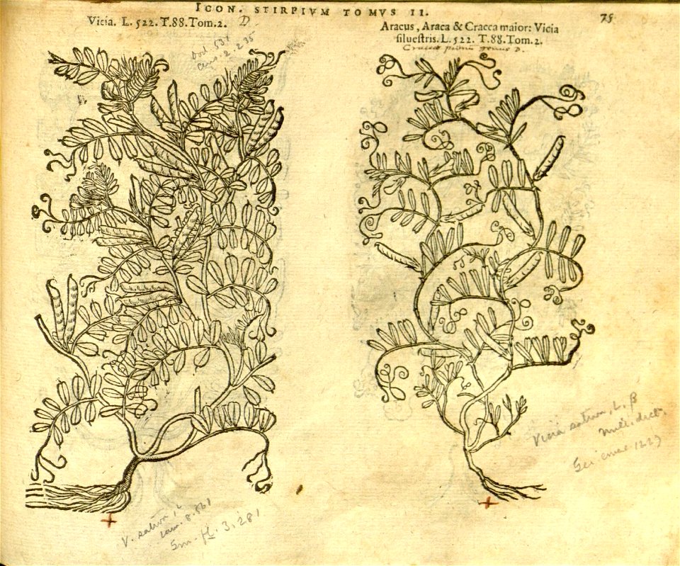 n897_w1150