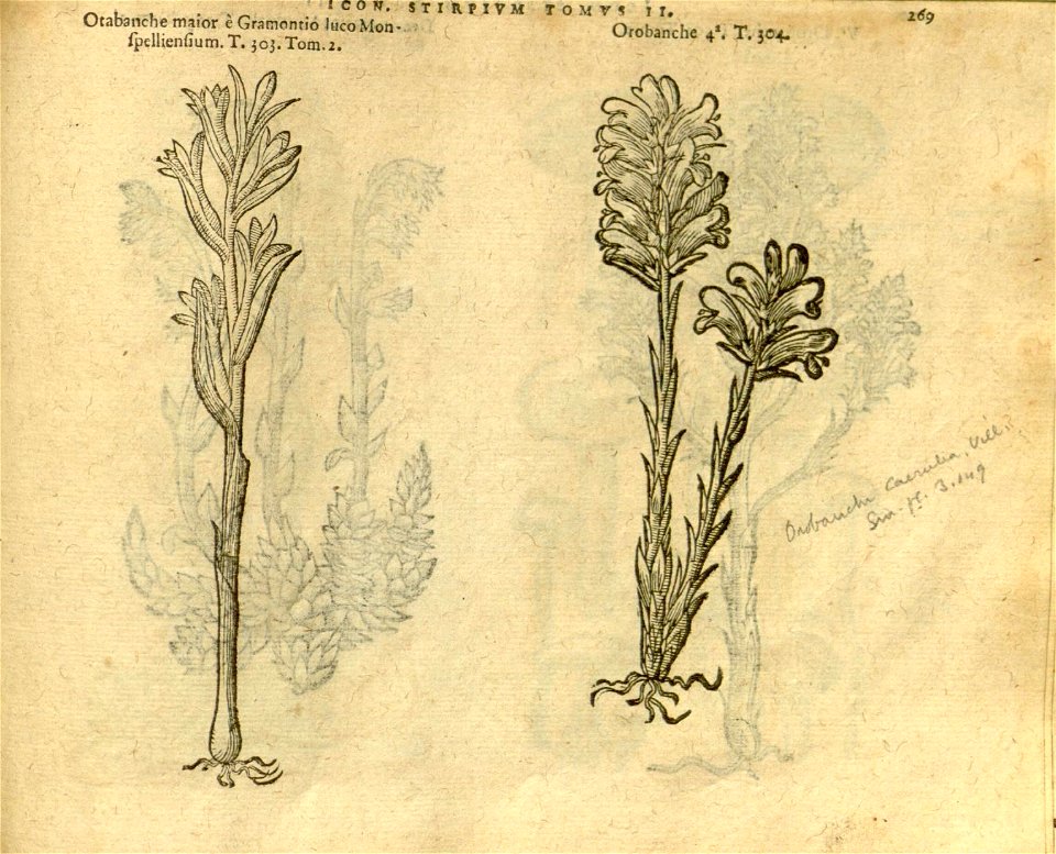n1091_w1150