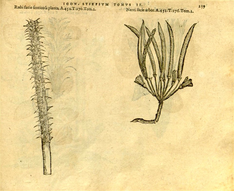 n1061_w1150
