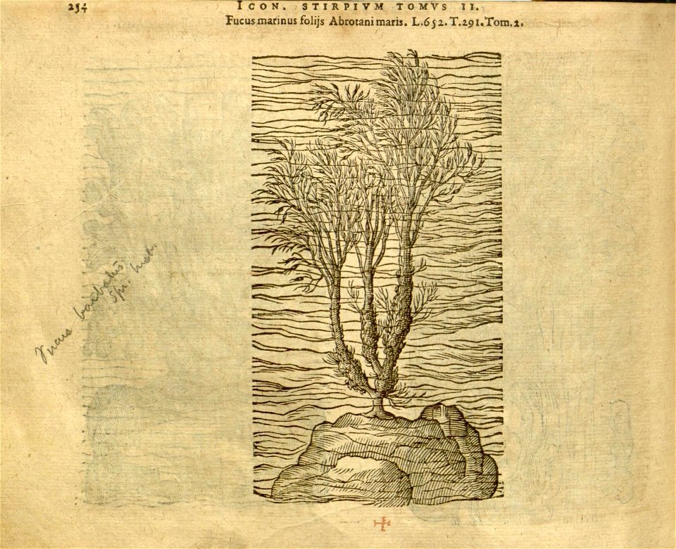 n1076_w1150
