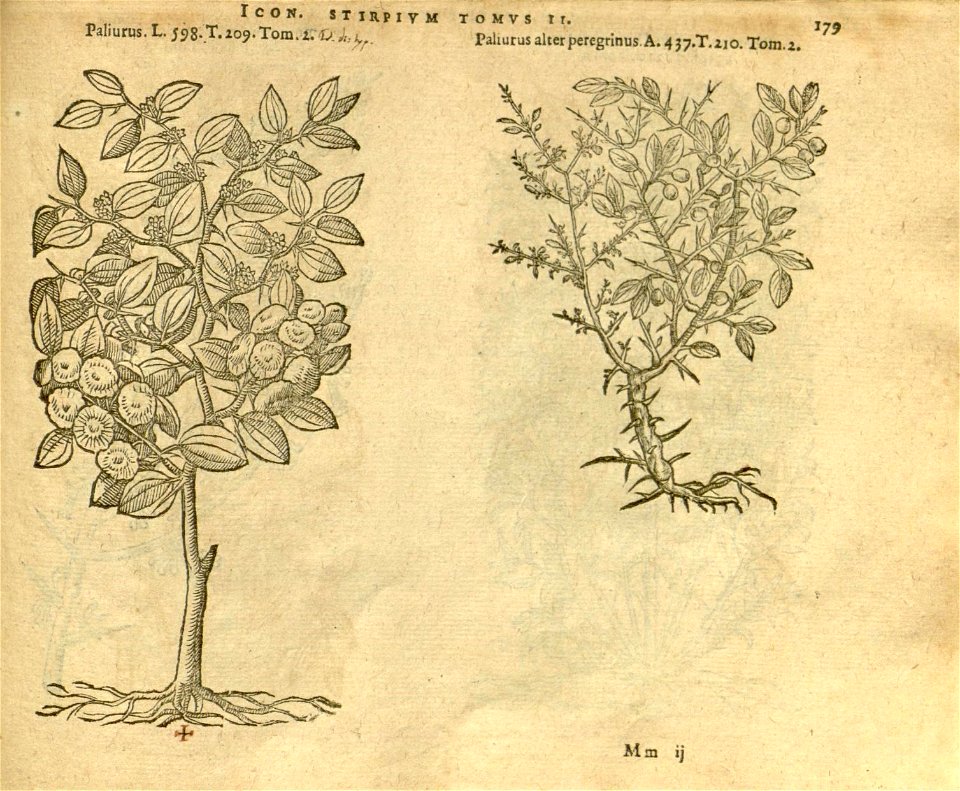n1001_w1150