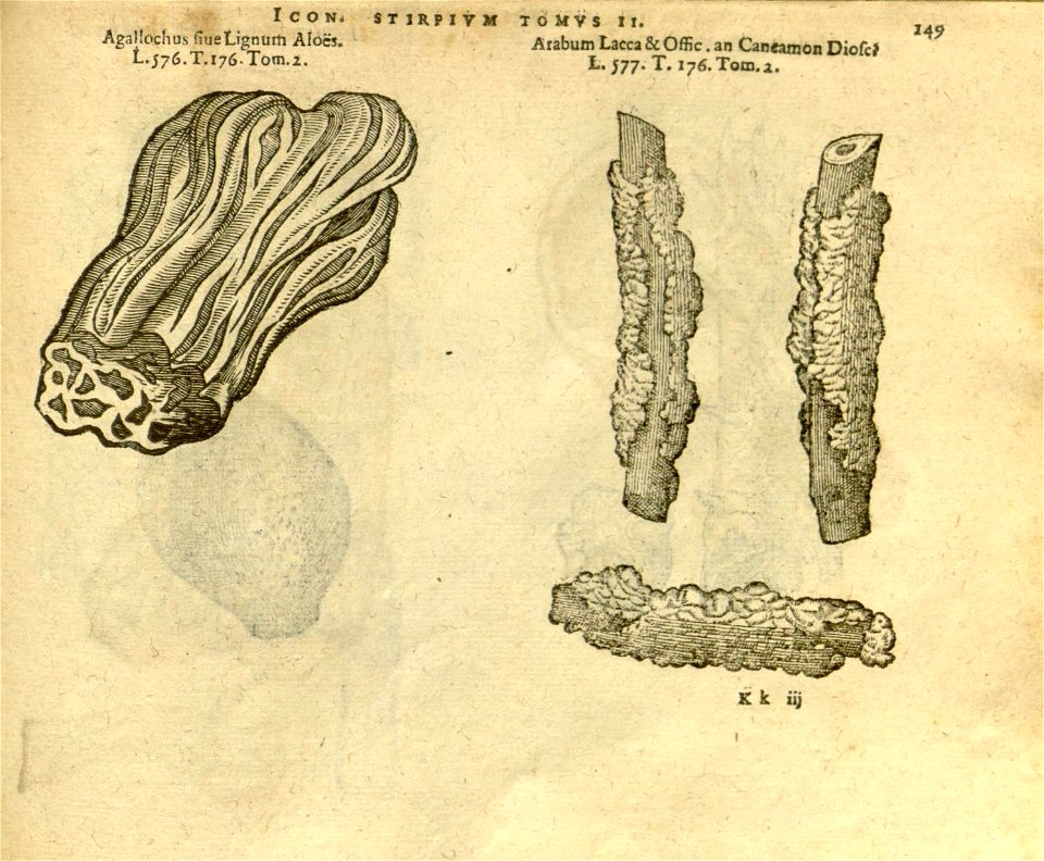 n971_w1150