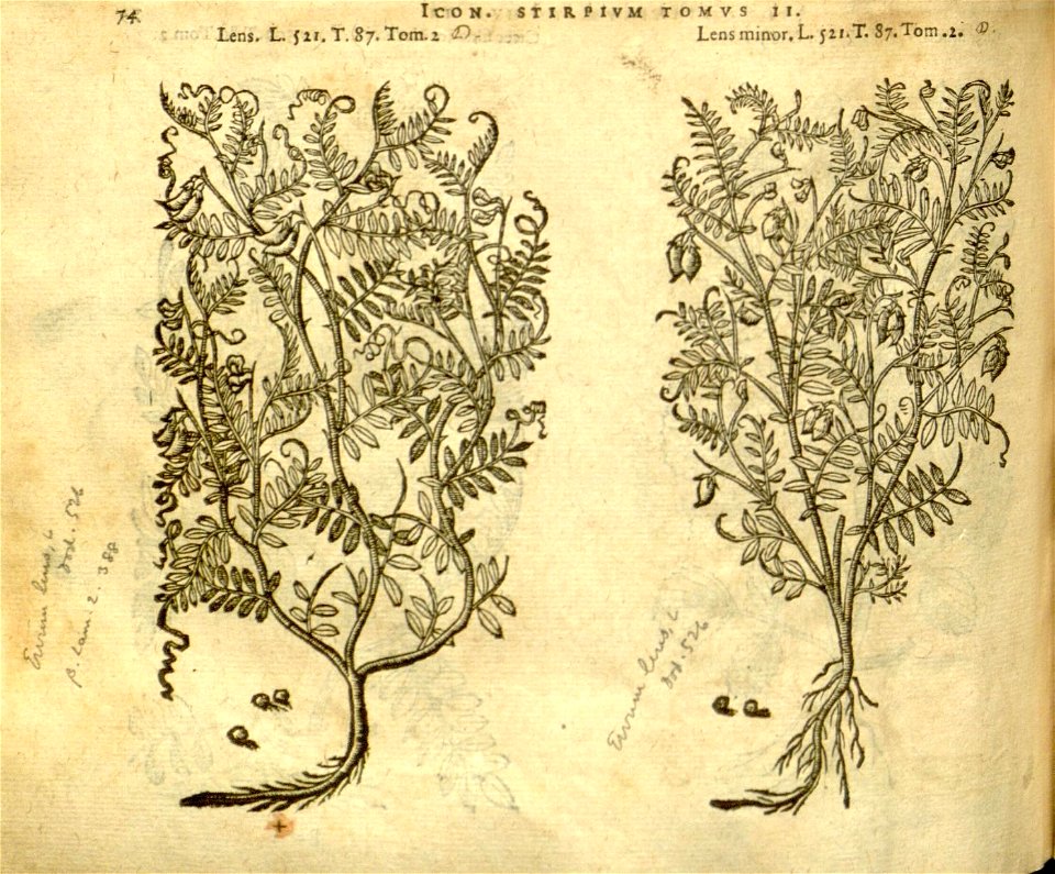 n896_w1150