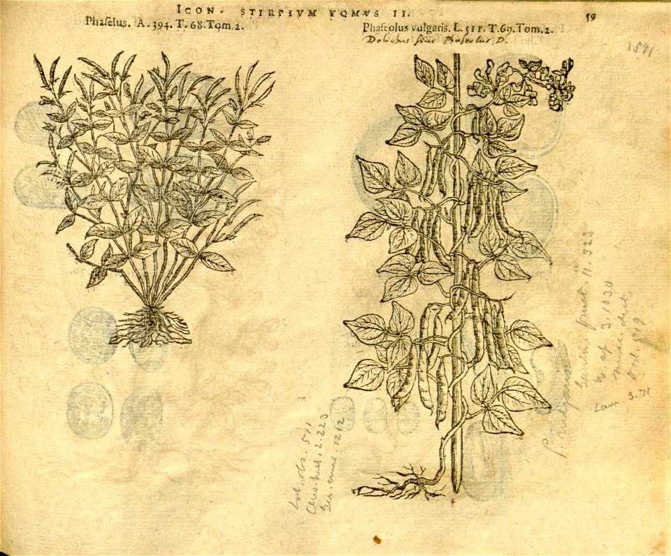 n881_w1150