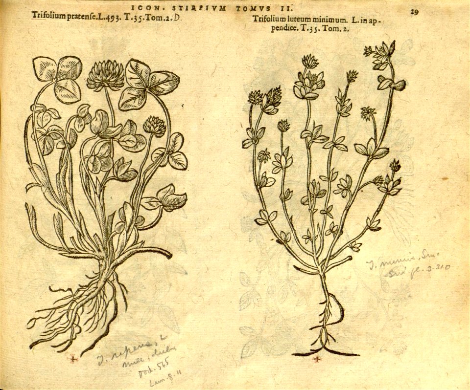 n851_w1150